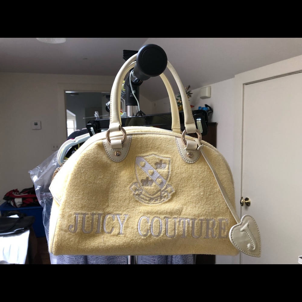 Adorable Juicy Bucket Bag